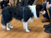 IMG-20260721-WA0003