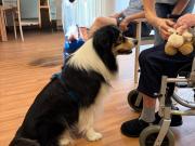 IMG-20260721-WA0009