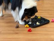 IMG-20260721-WA0010