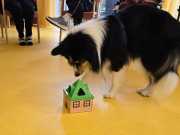 IMG-20260914-WA0000
