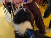 IMG-20260914-WA0001