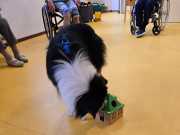 IMG-20260914-WA0002