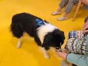 IMG-20260914-WA0003