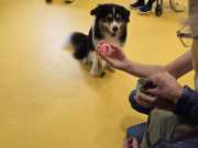 IMG-20260914-WA0004
