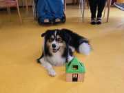 IMG-20260914-WA0005