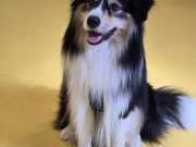 IMG-20260914-WA0006
