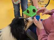IMG-20260914-WA0008