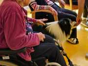 IMG-20260914-WA0009