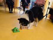 IMG-20260914-WA0010