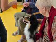 IMG-20260914-WA0013