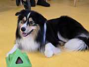 IMG-20260914-WA0016