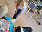 IMG-20260923-WA0010