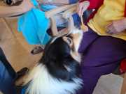 IMG-20260923-WA0017