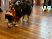 IMG-20260512-WA0000