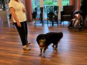 IMG-20260512-WA0001