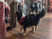 IMG-20260608-WA0022