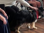 IMG-20260608-WA0023