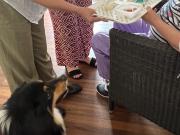 IMG-20260608-WA0024