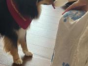 IMG-20260608-WA0025