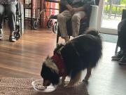 IMG-20260608-WA0026