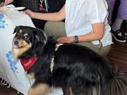 IMG-20260608-WA0028