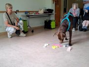 IMG-20260603-WA0002