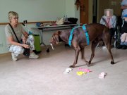 IMG-20260603-WA0004
