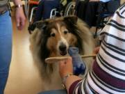 IMG-20260530-WA0002