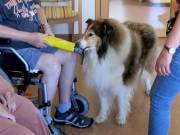 IMG-20260530-WA0003