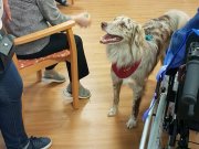 IMG-20191016-WA0053