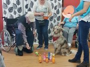 IMG-20191016-WA0059