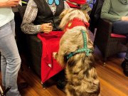 IMG-20200129-WA0026