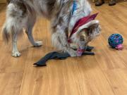 IMG-20260721-WA0014