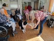 IMG-20260407-WA0001