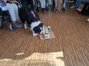 IMG-20260407-WA0002