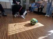 IMG-20260407-WA0003