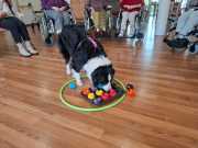 IMG-20260423-WA0000