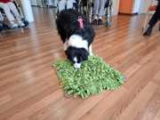 IMG-20260423-WA0001