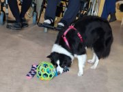 IMG-20261021-WA0003
