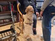 IMG-20260623-WA0004