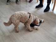 IMG-20260623-WA0009