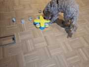 IMG-20260623-WA0010