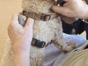 IMG-20260703-WA0001