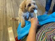 IMG-20260912-WA0014