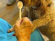 IMG-20260912-WA0017
