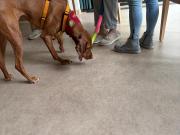 IMG-20260603-WA0000