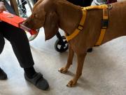 IMG-20260603-WA0005