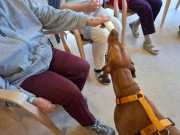 IMG-20260923-WA0018