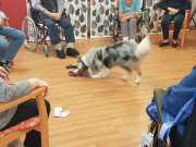 IMG-20191016-WA0012