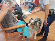 IMG-20191016-WA0017
